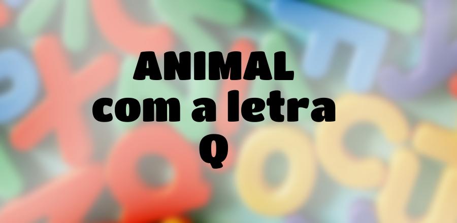 Animal que Começa com a Letra Q