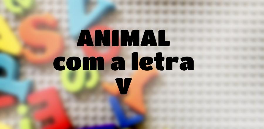Animal que Começa com a Letra V