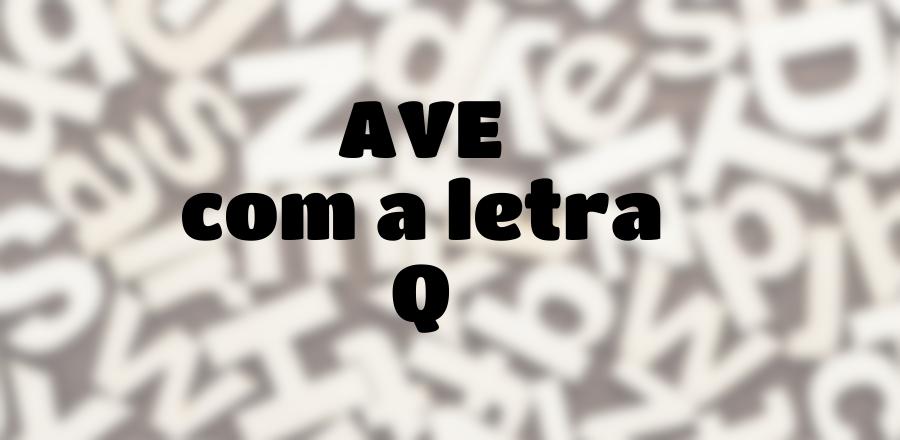Ave que Começa com a Letra Q