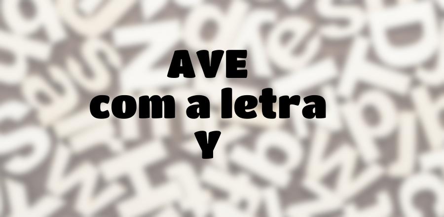 Ave que Começa com a Letra Y