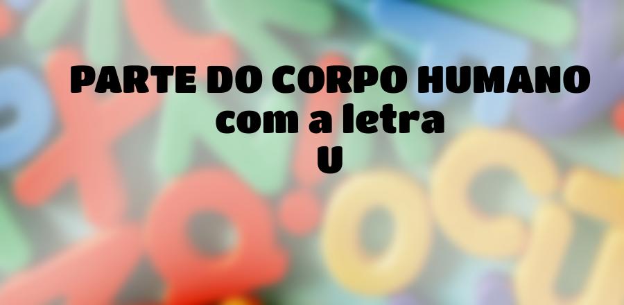 Parte do Corpo Humano que Começa com a Letra U