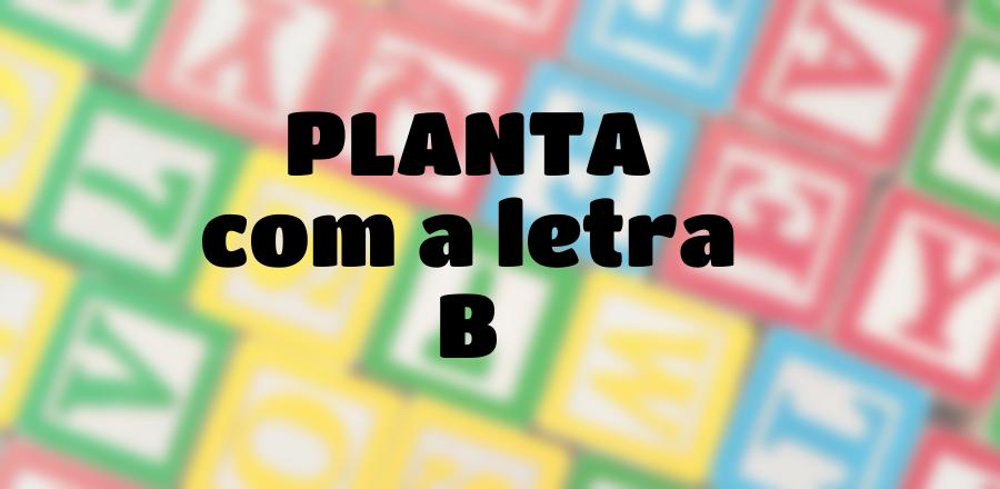 Planta que Começa com a Letra B