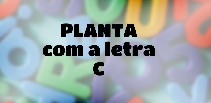 Planta que Começa com a Letra C