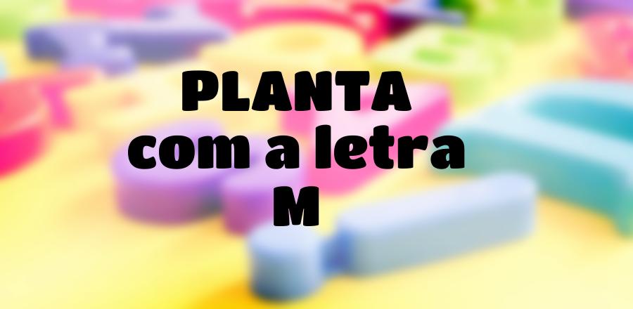 Planta que Começa com a Letra M