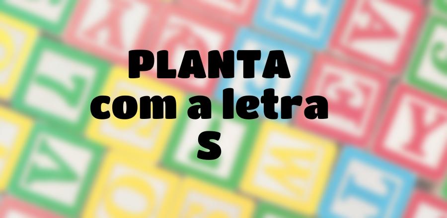 Planta que Começa com a Letra S