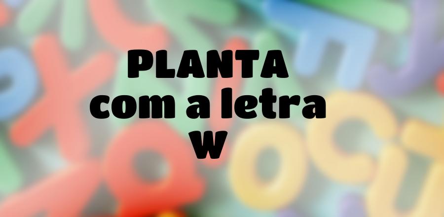 Planta que Começa com a Letra W