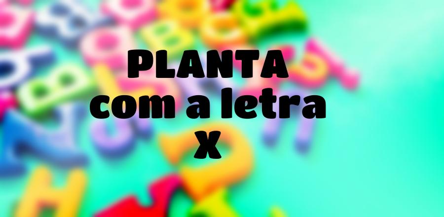 Planta que Começa com a Letra X