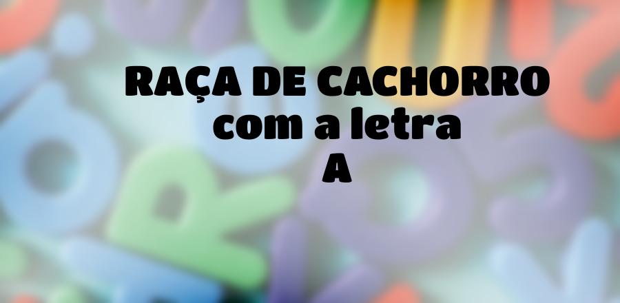 Raça de Cachorro que Começa com a Letra A