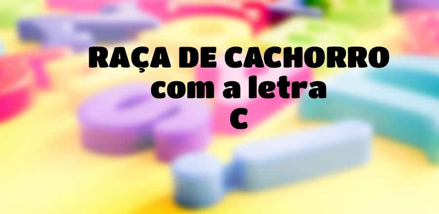 Raça de Cachorro que Começa com a Letra C