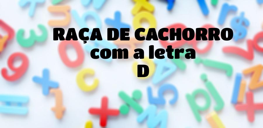 Raça de Cachorro que Começa com a Letra D