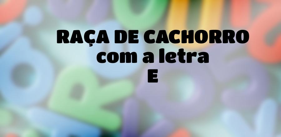 Raça de Cachorro que Começa com a Letra E