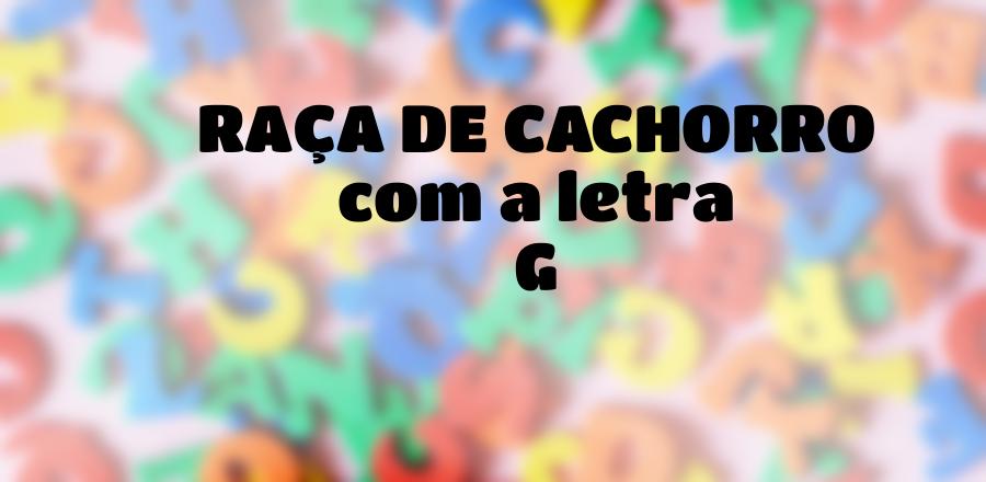 Raça de Cachorro que Começa com a Letra G