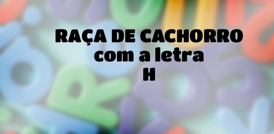 Raça de Cachorro que Começa com a Letra H