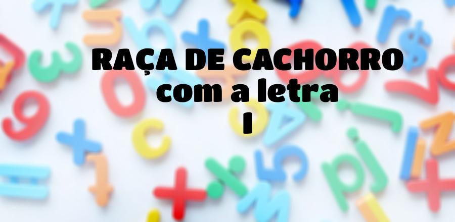 Raça de Cachorro que Começa com a Letra I