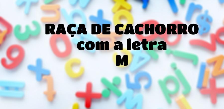 Raça de Cachorro que Começa com a Letra M