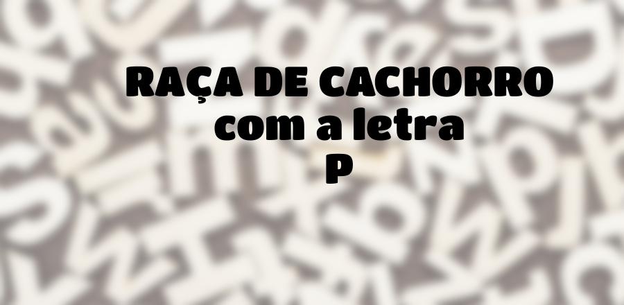 Raça de Cachorro que Começa com a Letra P