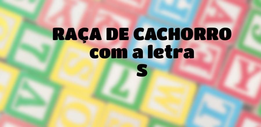 Raça de Cachorro que Começa com a Letra S