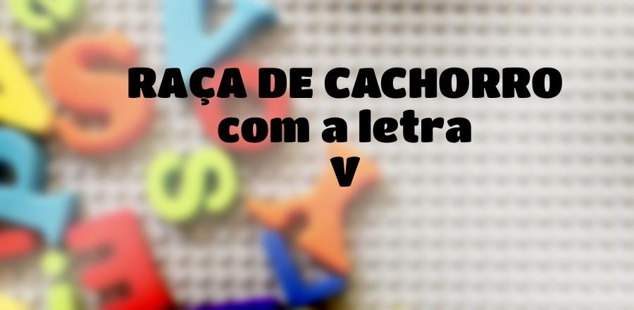 Raça de Cachorro que Começa com a Letra V