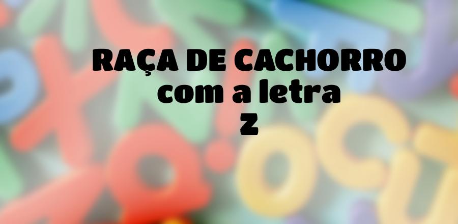 Raça de Cachorro que Começa com a Letra Z